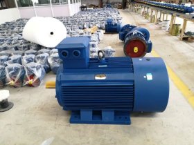 帶電磁制動電機(jī)